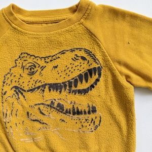 Falls Creek Kids 2T Tyrannosaurus Rex Mixed Media Sweatshirt